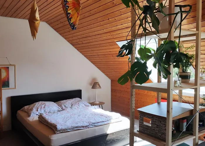Big Cozy Entire Family Appartment